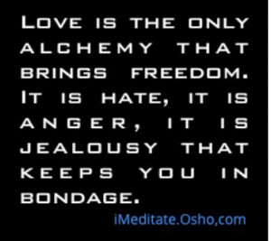 Love is the only alchemy ... OSHO
