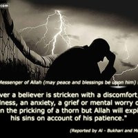 photo Asceticism-teste-0006.jpg