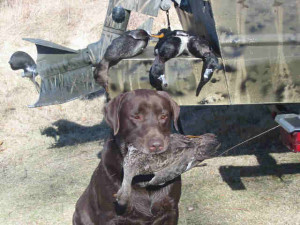 Hunting Dog Quotes