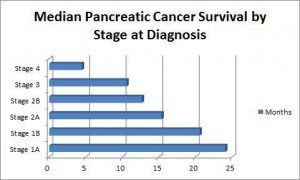 Tackling Cancer: Pancreatic Cancer's Biggest Current & Upcoming ...