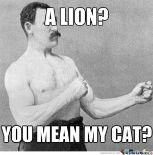 Related Pictures overly manly man meme
