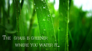 the grass ain t always greener on the other side it s only green where ...