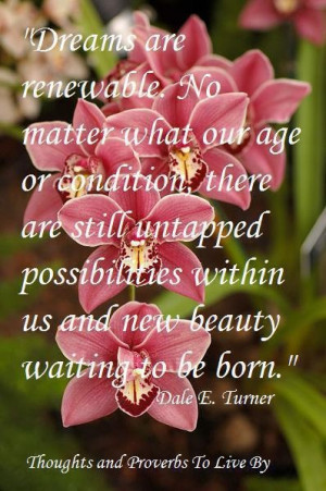 Dream....try new things...explore..