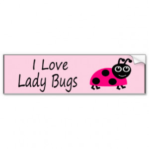 love_ladybugs_cute_ladybug_bumper_stickers ...