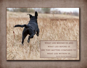 black lab sayings | Items similar to Dog Photography Cards, Stationery ...