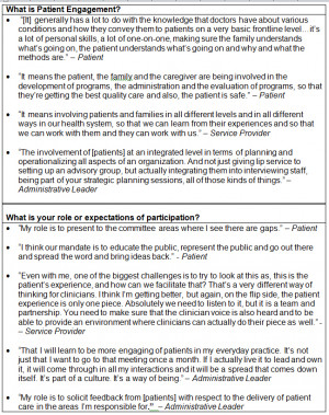 Gallivan et al, Table 5: Quotes and Reflections from Stakeholder ...
