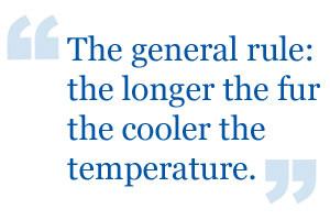 Air Conditioning Quotes