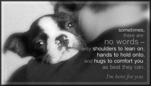 Sometimes there are No Words