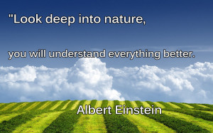 20 most popular quotes by Albert Einstein-ggggggg.jpg