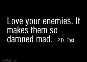 Love Your Enemies love funny quote revenge haters