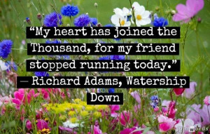 ... that shaped most of my adult values -- Watership Down by Richard Adams