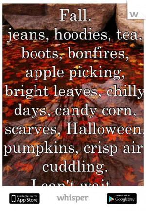 Fall. jeans, hoodies, tea, boots, bonfires, apple picking, bright ...