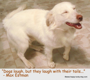inspirational dog quote photo