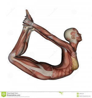 Woman Exercising Yoga Bow Pose