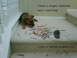 funny-boxer-dog-quotesfunny-dog-quotes-and-pictures-by-nuts-and-funny ...