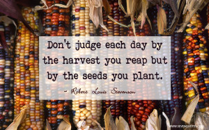 ... judge each day by the harvest you reap but by the seeds you plant