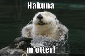 Funny Otter picture