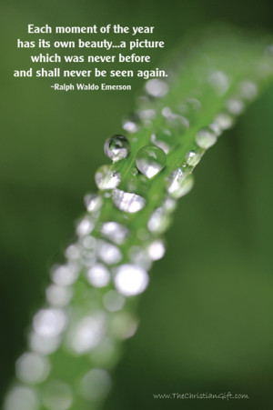 christian quotes and sayings about nature