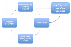 vicious-cycle-of-adolescent-sleep1