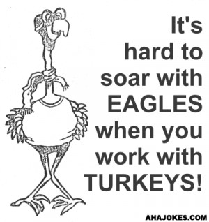 Funny Quotes Contact Dmca