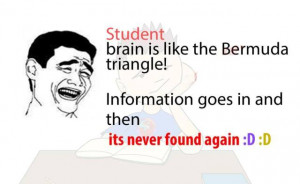 Very Funny Jokes Of Life Brain Is Like The Bermuda Triangle ...