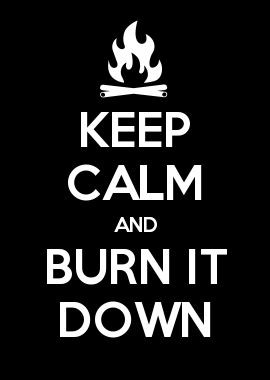 Burn It Down Tour shirt idea - Jason Aldean