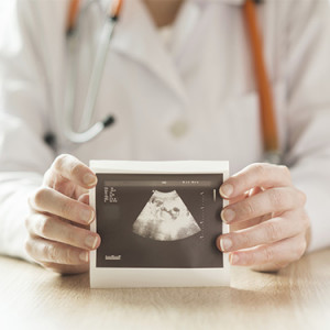 3318 the cost of fertility drugs in vitro artificial insemination 1 2