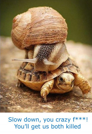 Published 2011/10/24 at 600 × 870 in Daily Picdump #284 .