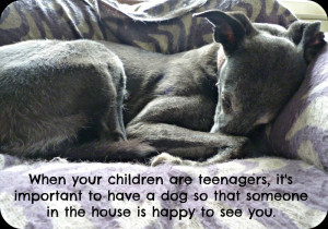 notsupermum.comnotSupermum: November 2012