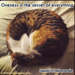 Oneness is the secret of everything