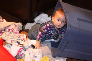 Empties everything; clean laundry in basket? Not anymore!!
