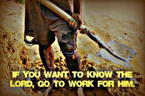 If you want to know the Lord, go to work for Him.