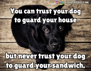 You can trust your dog to guard your house.