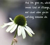 Beautiful quotes about dying - Bing Images