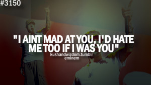 eminem, quotes, sayings, mad, hate, you