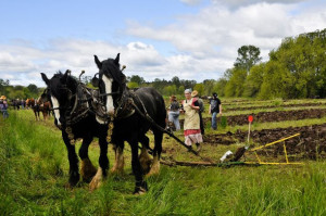 Organic Farming follows Traditional Farming Methods