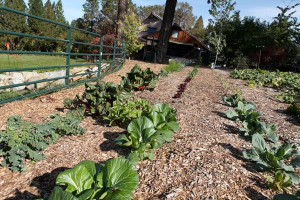 ... Gardens California, Eden Gardens, Eden Types, Gardens Techniques