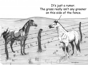 Categories: Mustang Mondays , Wild Horses