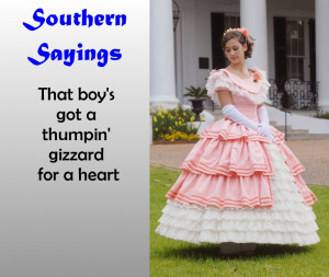 funny southern sayings-Yzxc