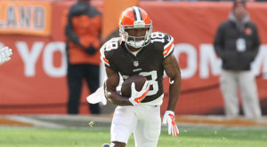 Karlos Dansby