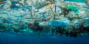 Sabías que existen islas de basura en nuestros oceános?