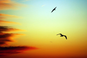 Positive & Inspirational Quotes