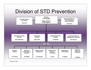 Division Of Std Prevention Organization Chart October 16 2008 picture
