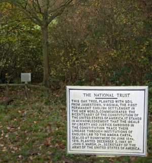 Image is courtesy of Wikimedia Commons , picture by wyrdlight.com ...