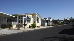 The Advantage Of Knowledgeable Agents