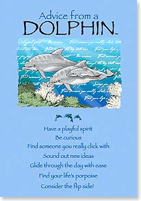 Birthday Card - Birthday Advice from a Dolphin | Your True Nature ...