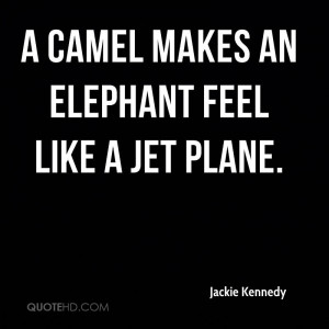 camel makes an elephant feel like a jet plane.