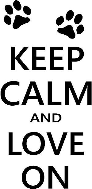 ... cute dog paw prints pet wall quotes sayings vinyl decal art - by