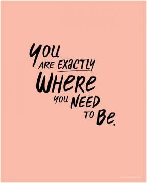 You are exactly where you need to be.