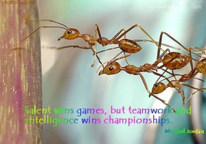 Talent Wins Games, But Teamwork And Intelligence Wins Championships